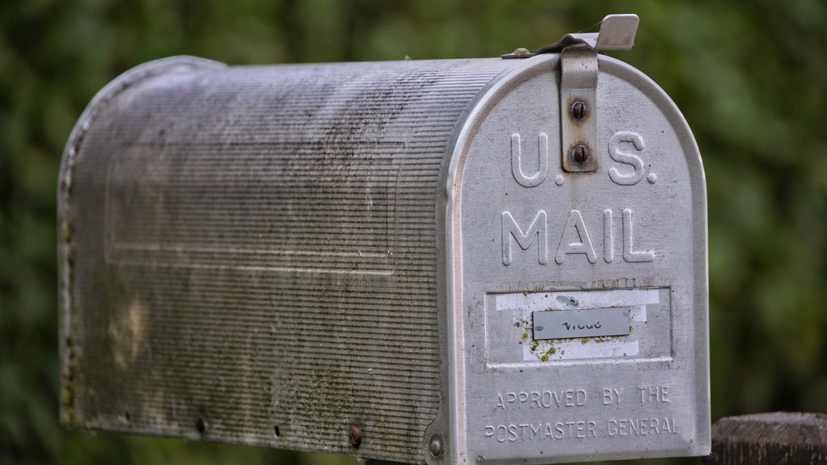 Close-up of a vintage U.S. mailbox set against lush greenery, showcasing classic design.
